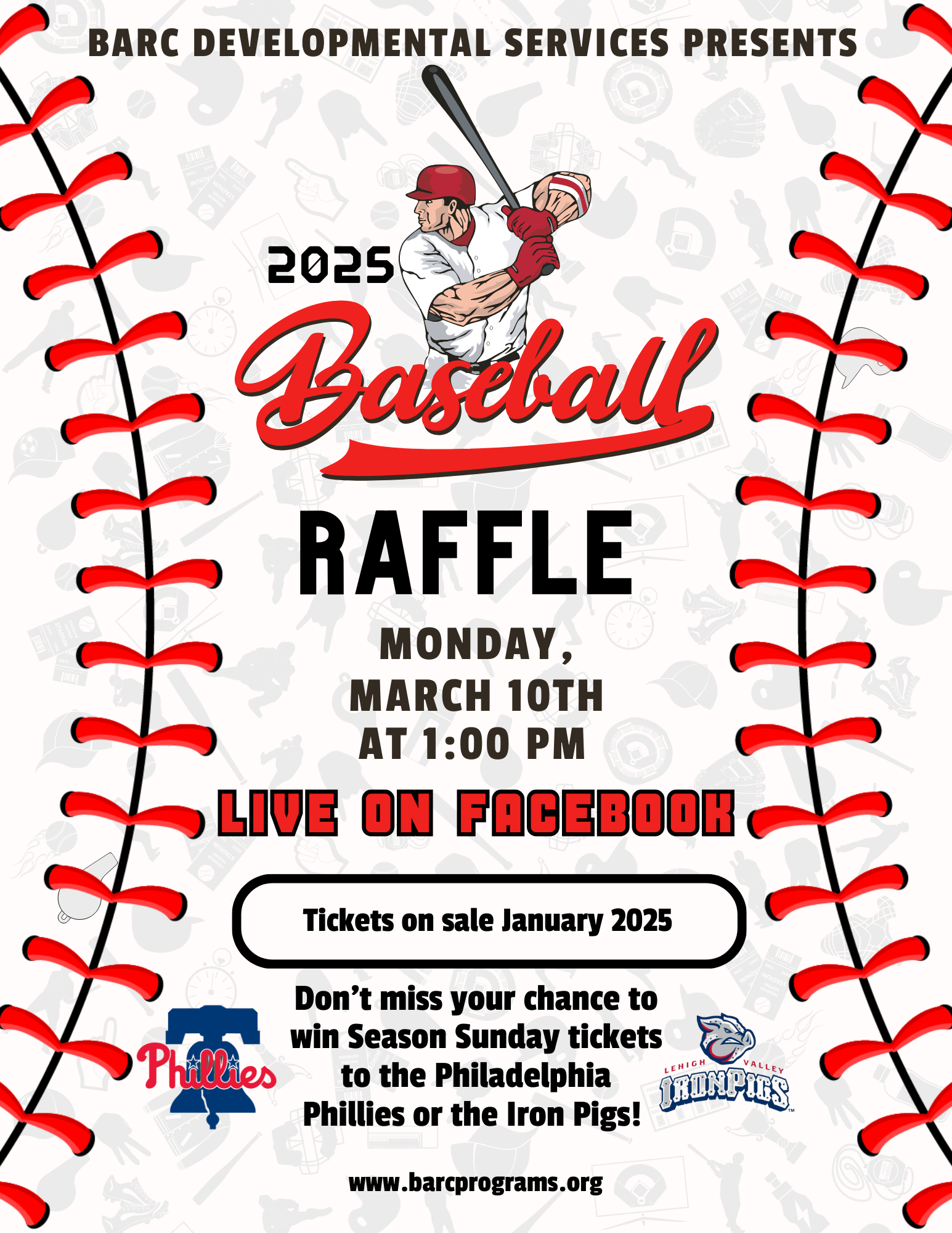 2025 baseball raffle